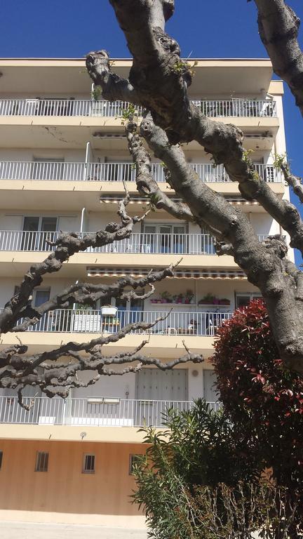 אביניון Appart Ensoleille Proche Remparts מראה חיצוני תמונה
